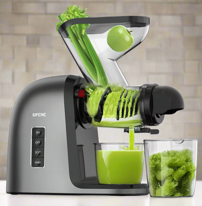 Slow Masticating Juice Extractor