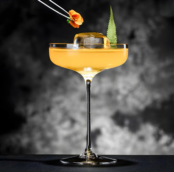 Shallow-Bowl Cocktail Coupe Set — 6 Pieces