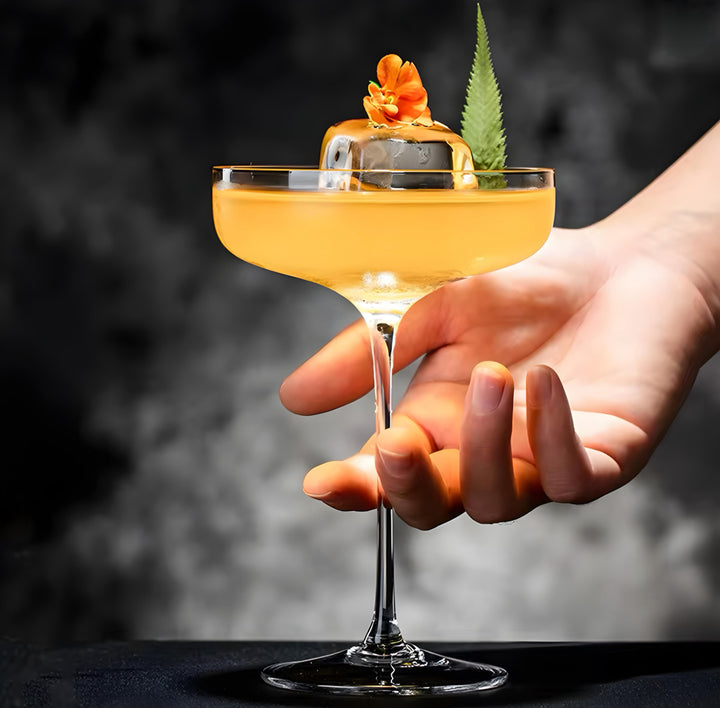 Shallow-Bowl Cocktail Coupe Set — 6 Pieces