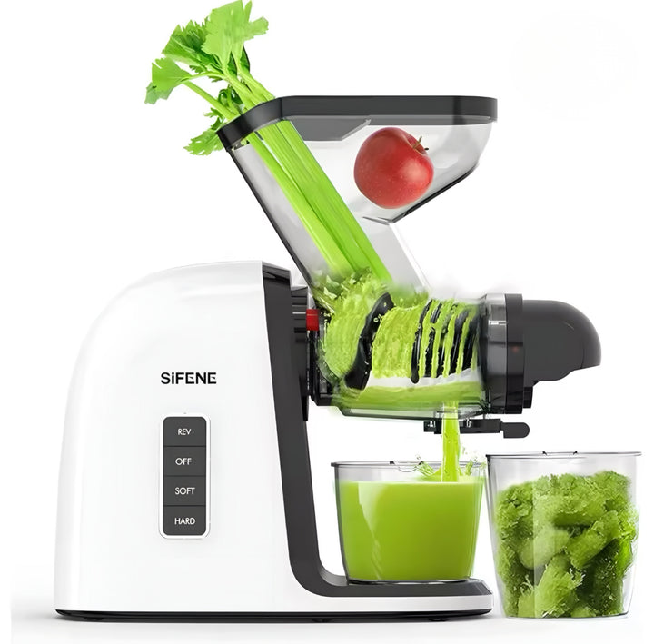 Slow Masticating Juice Extractor
