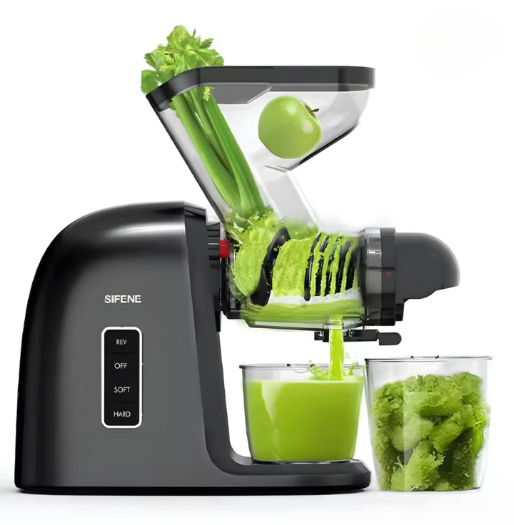 Slow Masticating Juice Extractor