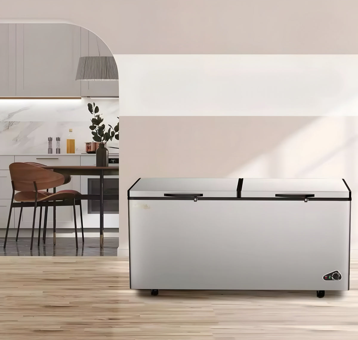 Commercial Deep Freezer