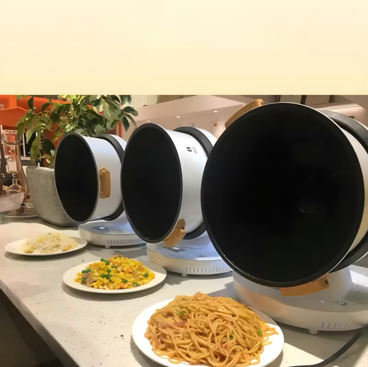 Auto Cooker