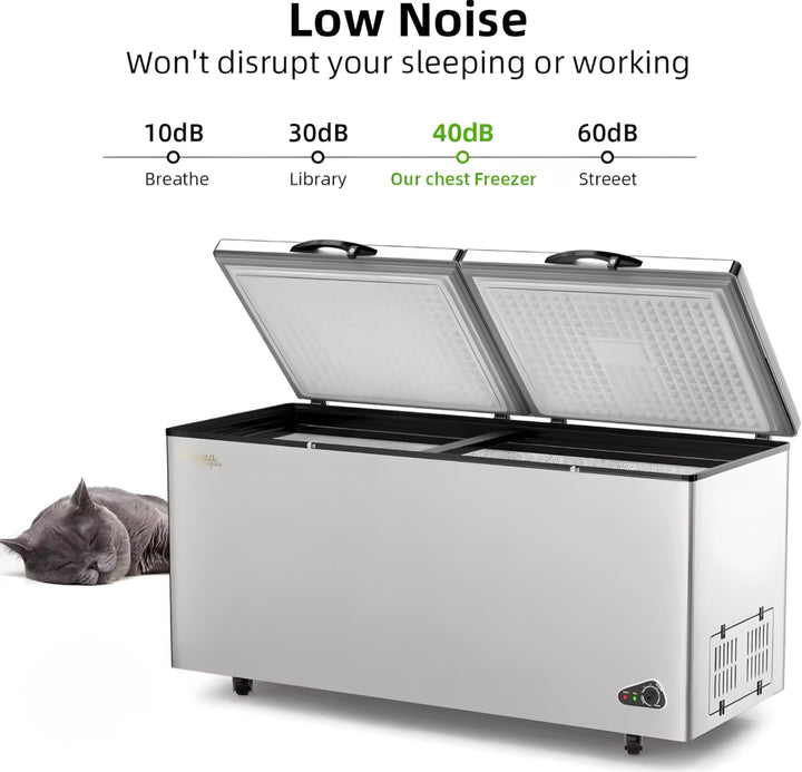 Commercial Deep Freezer