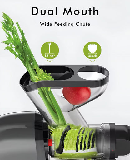 Slow Masticating Juice Extractor