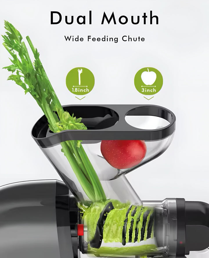 Slow Masticating Juice Extractor