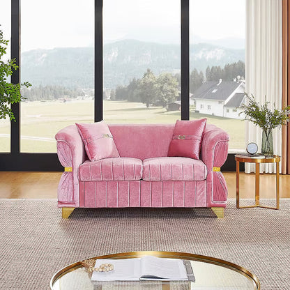 Aurelia pink velvet loveseat, front room view